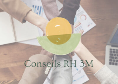 Conseils RH3M